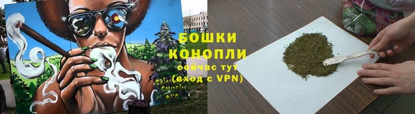 ГАЛЛЮЦИНОГЕННЫЕ ГРИБЫ Ладушкин