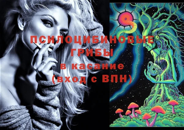 твердый Липки