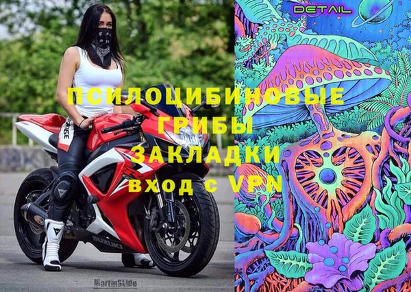 твердый Липки