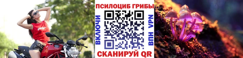 blacksprut   Березники  Псилоцибиновые грибы GOLDEN TEACHER  купить наркоту 