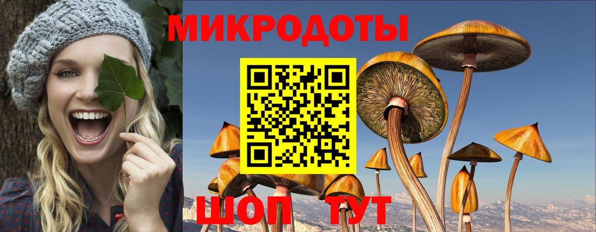 Псилоцибиновые грибы MAGIC MUSHROOMS  Березники 