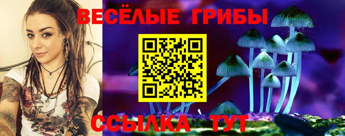 Березники  Галлюциногенные грибы GOLDEN TEACHER  Вход с VPN 
