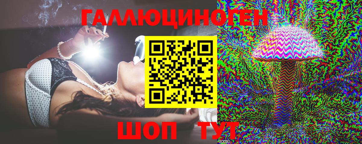 Псилоцибиновые грибы Psilocybe Березники